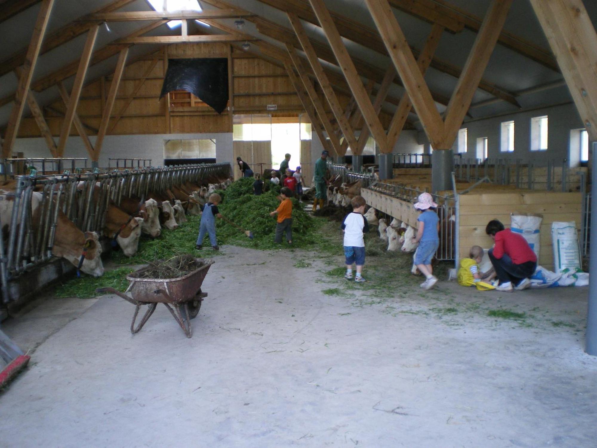 Russbachbauer Villa Saint Wolfgang Buitenkant foto