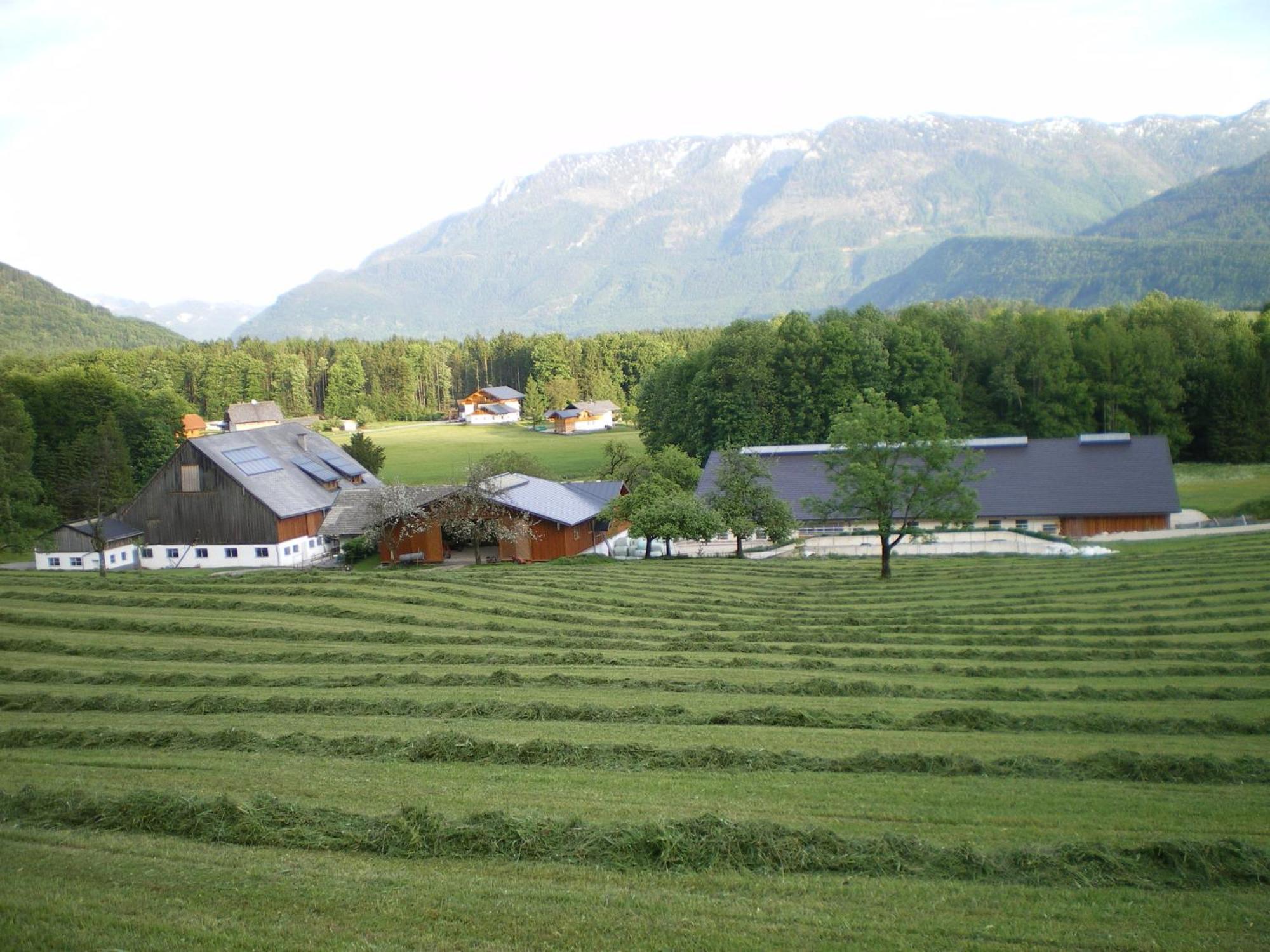 Russbachbauer Villa Saint Wolfgang Buitenkant foto