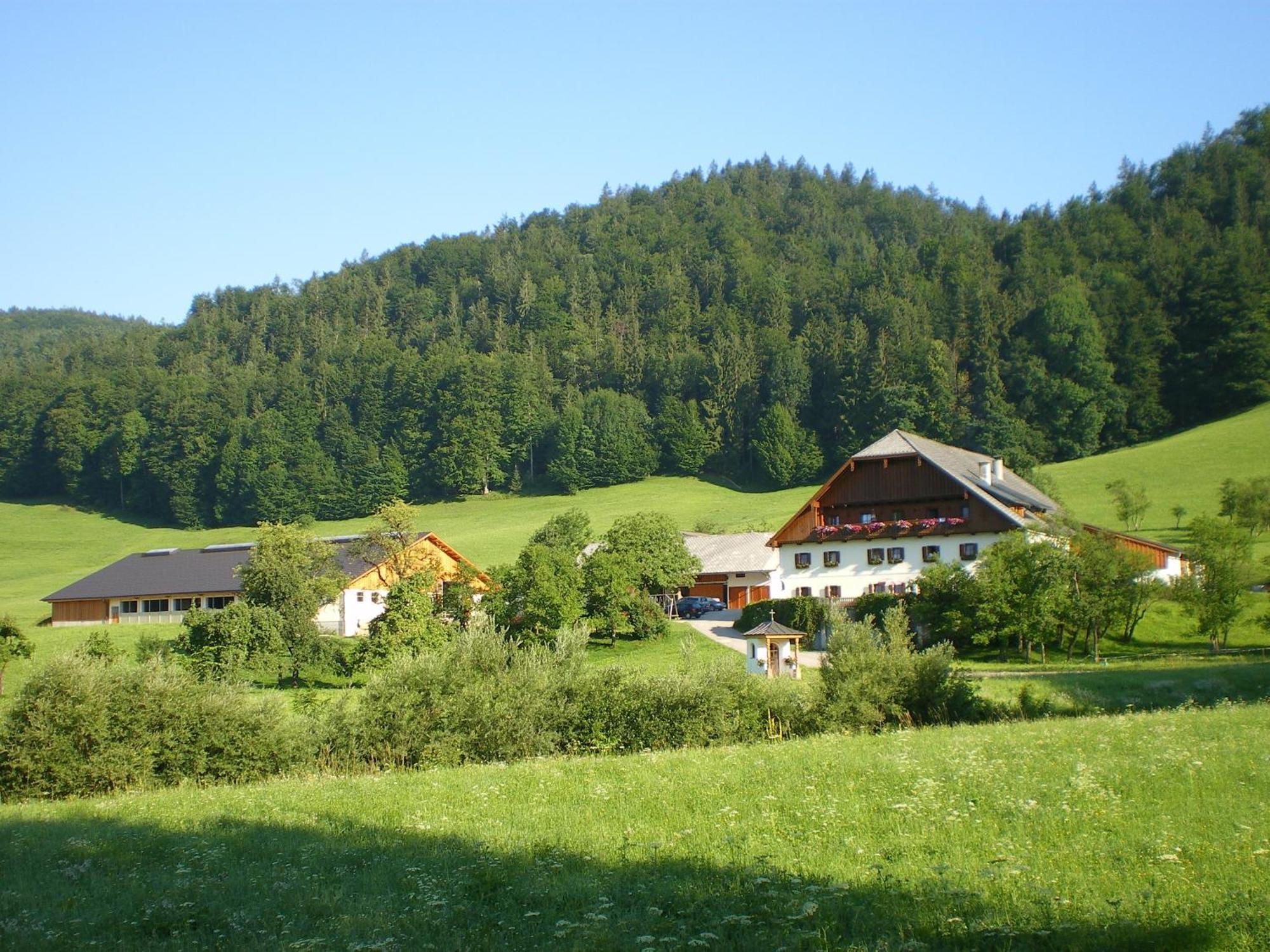 Russbachbauer Villa Saint Wolfgang Buitenkant foto