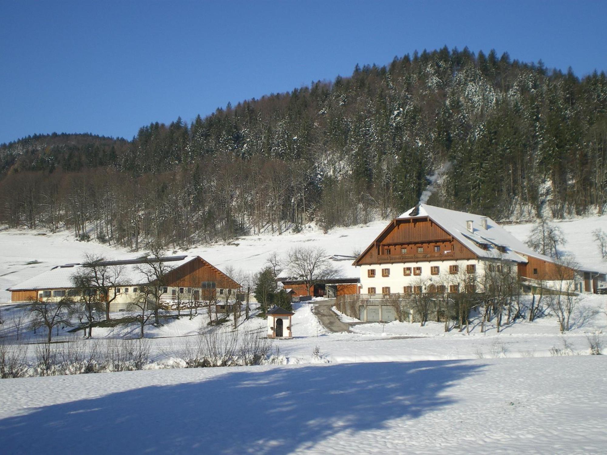 Russbachbauer Villa Saint Wolfgang Buitenkant foto